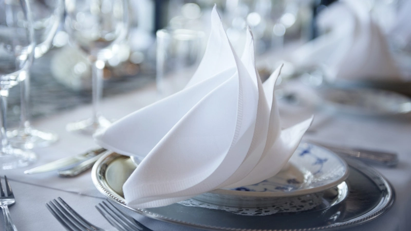 An elegantly folded napkin on dinnerware
